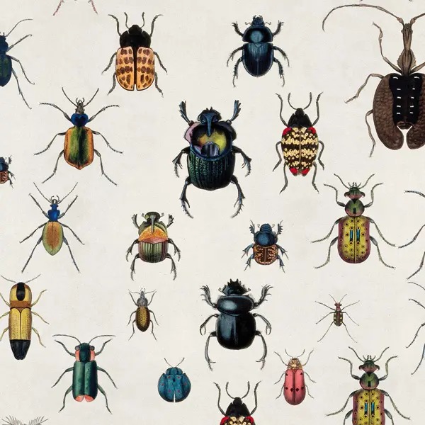 Listing cover image